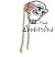 cordon pelo marfil degrade
