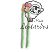 cordon pelo verde degrade